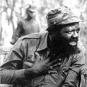 Meet your Posher, Darrly